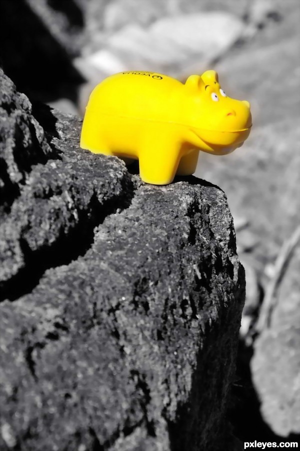 Yellow hippo